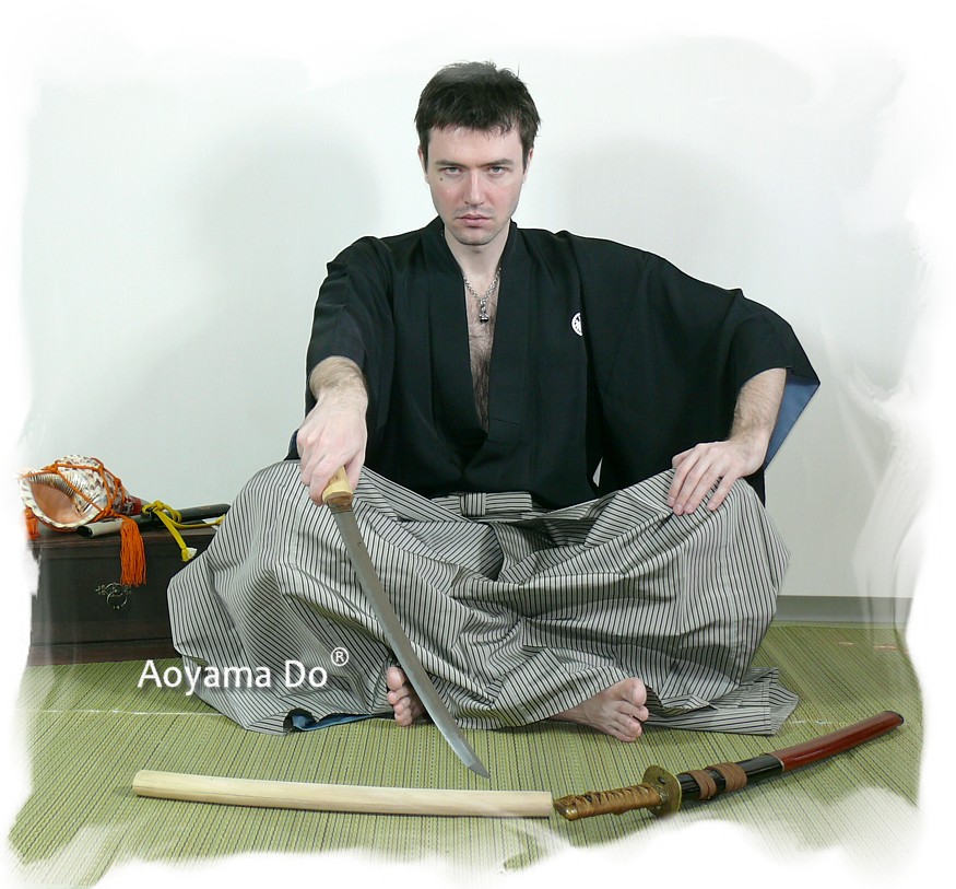 самурайский меч эпохи Эдо. Mega Japan, японский интернет-магазин